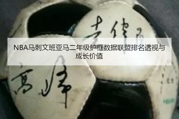 NBA马刺文班亚马二年级护框数据联盟排名透视与成长价值